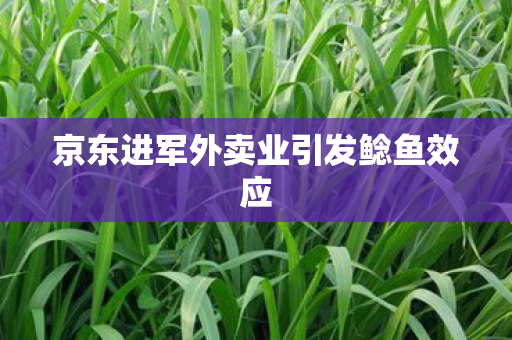 京东进军外卖业引发鲶鱼效应