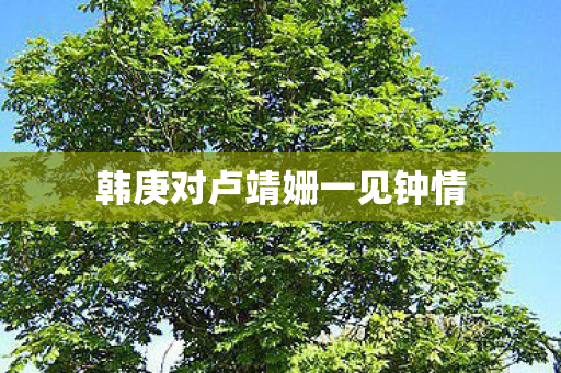 韩庚对卢靖姗一见钟情