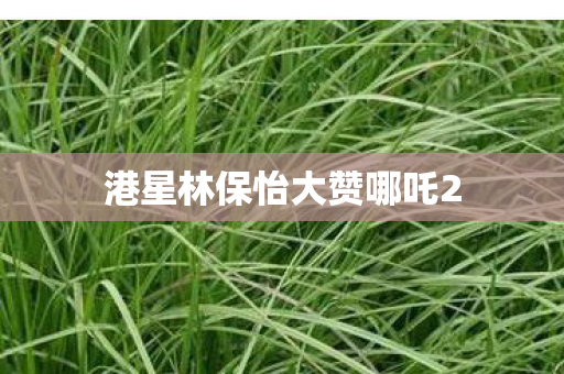 港星林保怡大赞哪吒2
