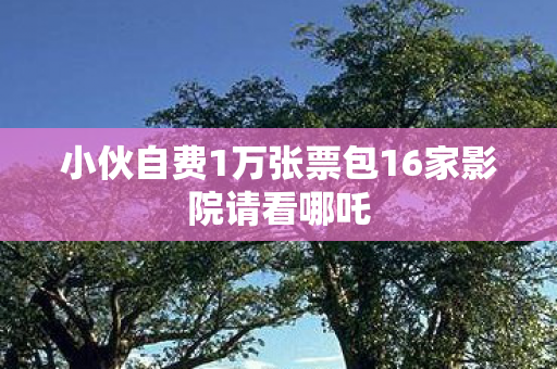 小伙自费1万张票包16家影院请看哪吒