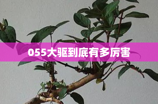 055大驱到底有多厉害