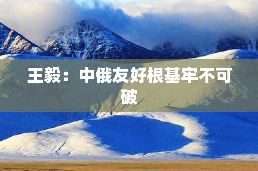 王毅：中俄友好根基牢不可破