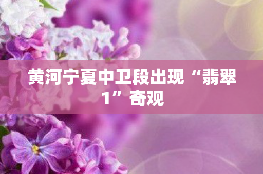 黄河宁夏中卫段出现“翡翠1”奇观