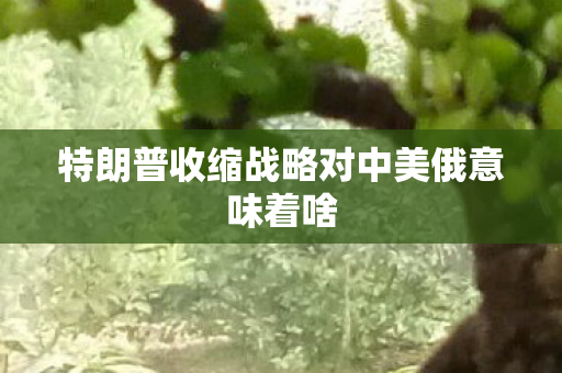 特朗普收缩战略对中美俄意味着啥