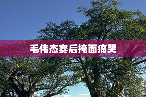 毛伟杰赛后掩面痛哭