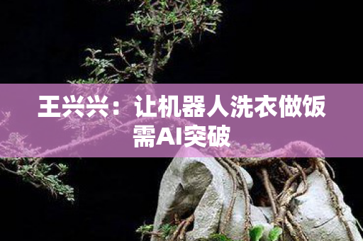 王兴兴：让机器人洗衣做饭需AI突破