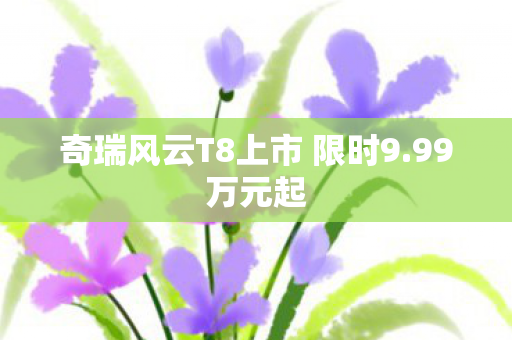 奇瑞风云T8上市 限时9.99万元起