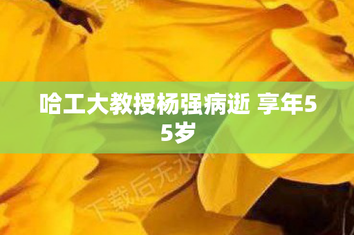 哈工大教授杨强病逝 享年55岁