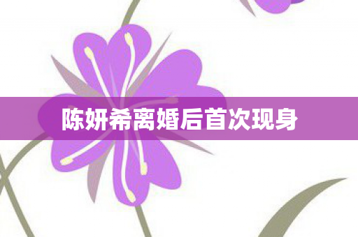 陈妍希离婚后首次现身