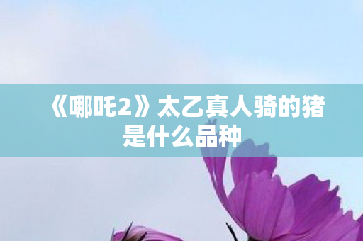 《哪吒2》太乙真人骑的猪是什么品种