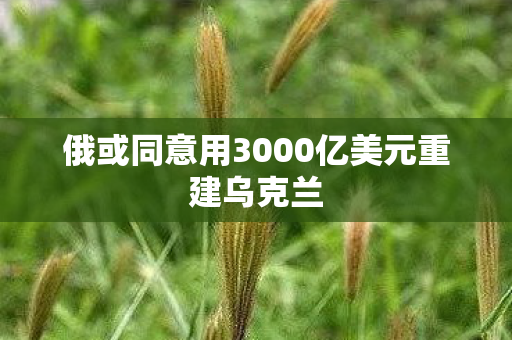 俄或同意用3000亿美元重建乌克兰