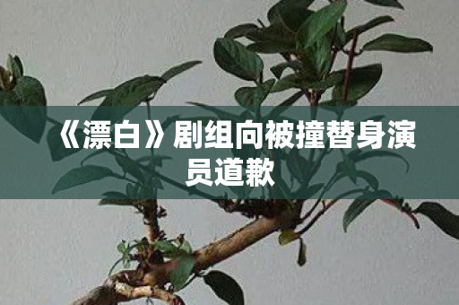 《漂白》剧组向被撞替身演员道歉