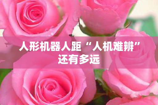人形机器人距“人机难辨”还有多远