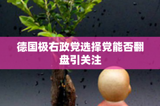 德国极右政党选择党能否翻盘引关注