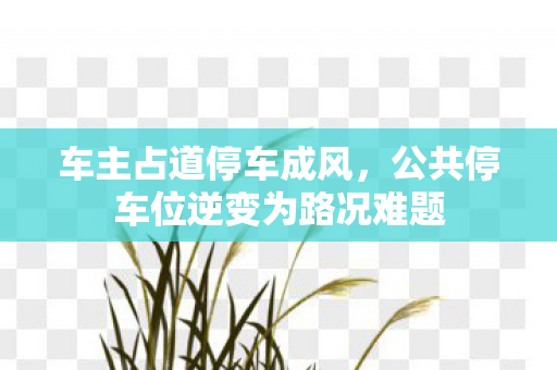 车主占道停车成风，公共停车位逆变为路况难题