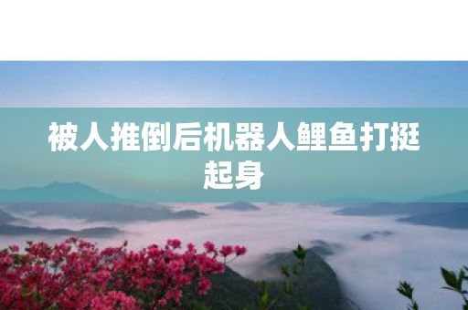 被人推倒后机器人鲤鱼打挺起身