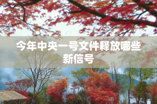 今年中央一号文件释放哪些新信号