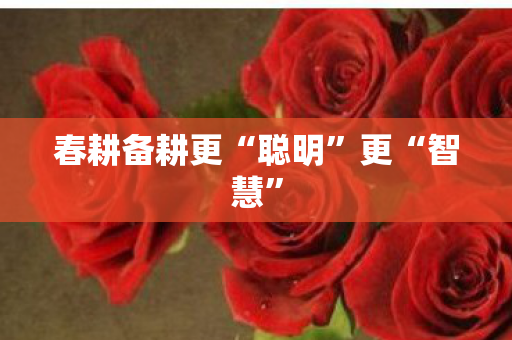 春耕备耕更“聪明”更“智慧”