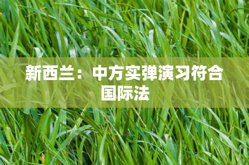 新西兰：中方实弹演习符合国际法