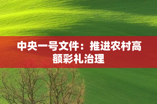 中央一号文件：推进农村高额彩礼治理