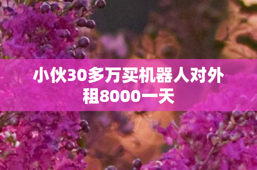 小伙30多万买机器人对外租8000一天