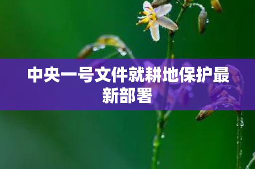中央一号文件就耕地保护最新部署