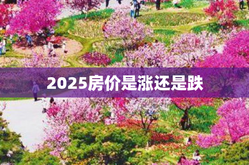 2025房价是涨还是跌