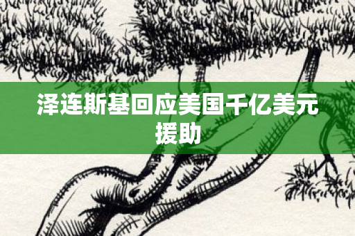 泽连斯基回应美国千亿美元援助