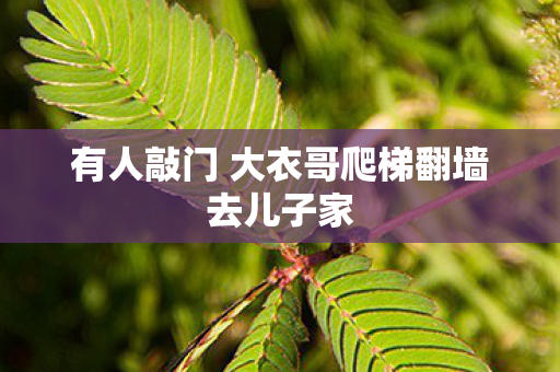 有人敲门 大衣哥爬梯翻墙去儿子家