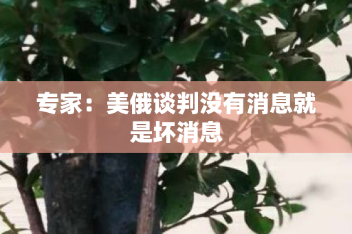 专家：美俄谈判没有消息就是坏消息
