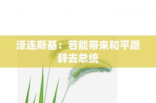 泽连斯基：若能带来和平愿辞去总统