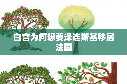 白宫为何想要泽连斯基移居法国