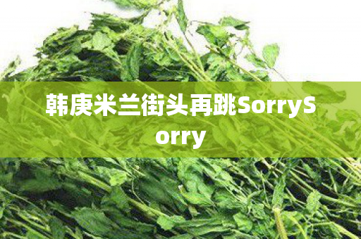 韩庚米兰街头再跳SorrySorry