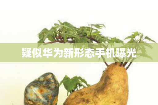 疑似华为新形态手机曝光