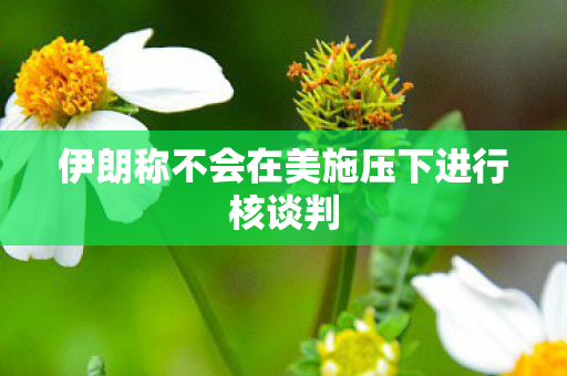 伊朗称不会在美施压下进行核谈判