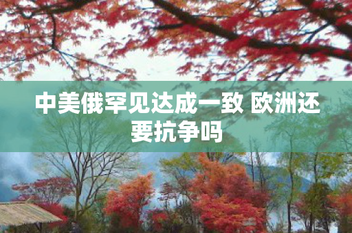 中美俄罕见达成一致 欧洲还要抗争吗