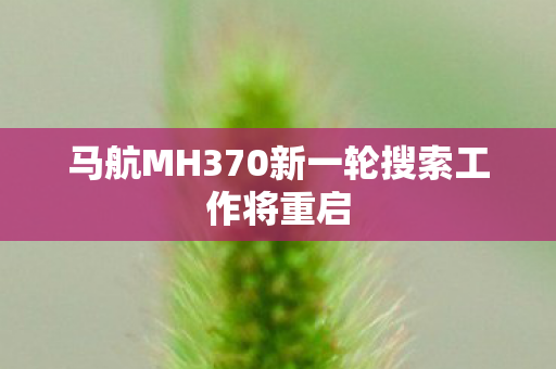 马航MH370新一轮搜索工作将重启