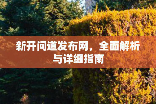 新开问道发布网，全面解析与详细指南