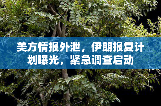 美方情报外泄，伊朗报复计划曝光，紧急调查启动
