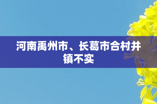 河南禹州市、长葛市合村并镇不实