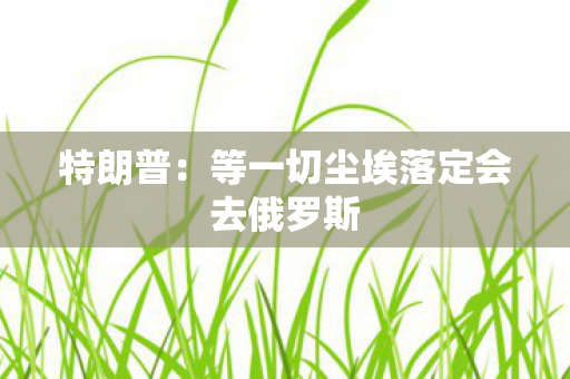 特朗普：等一切尘埃落定会去俄罗斯