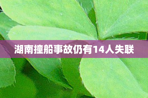 湖南撞船事故仍有14人失联