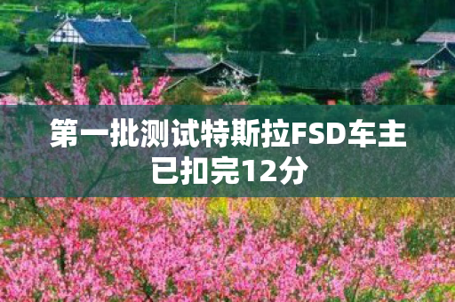 第一批测试特斯拉FSD车主已扣完12分