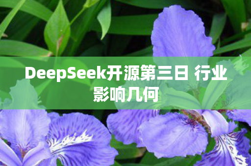 DeepSeek开源第三日 行业影响几何