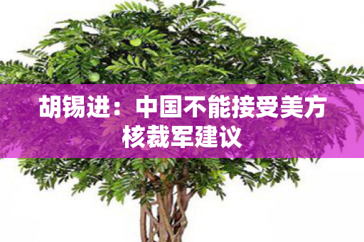 胡锡进：中国不能接受美方核裁军建议