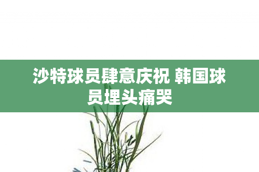 沙特球员肆意庆祝 韩国球员埋头痛哭