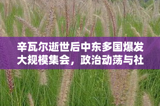 辛瓦尔逝世后中东多国爆发大规模集会，政治动荡与社会影响深度分析