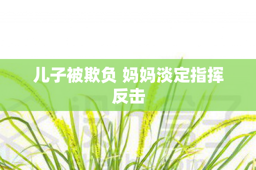儿子被欺负 妈妈淡定指挥反击