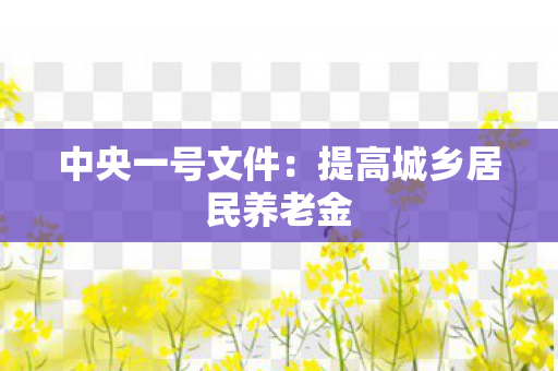 中央一号文件：提高城乡居民养老金