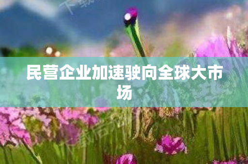 民营企业加速驶向全球大市场